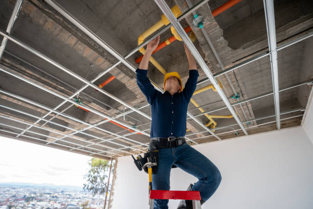 Best Plumbing Repair Near Me  in Bear, DE